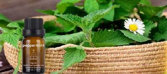 5 Amazing Uses of Peppermint Essential Oil